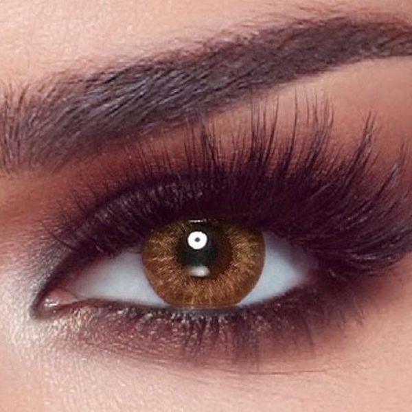 Bella One Day - Pack of 10 - Almond Brown