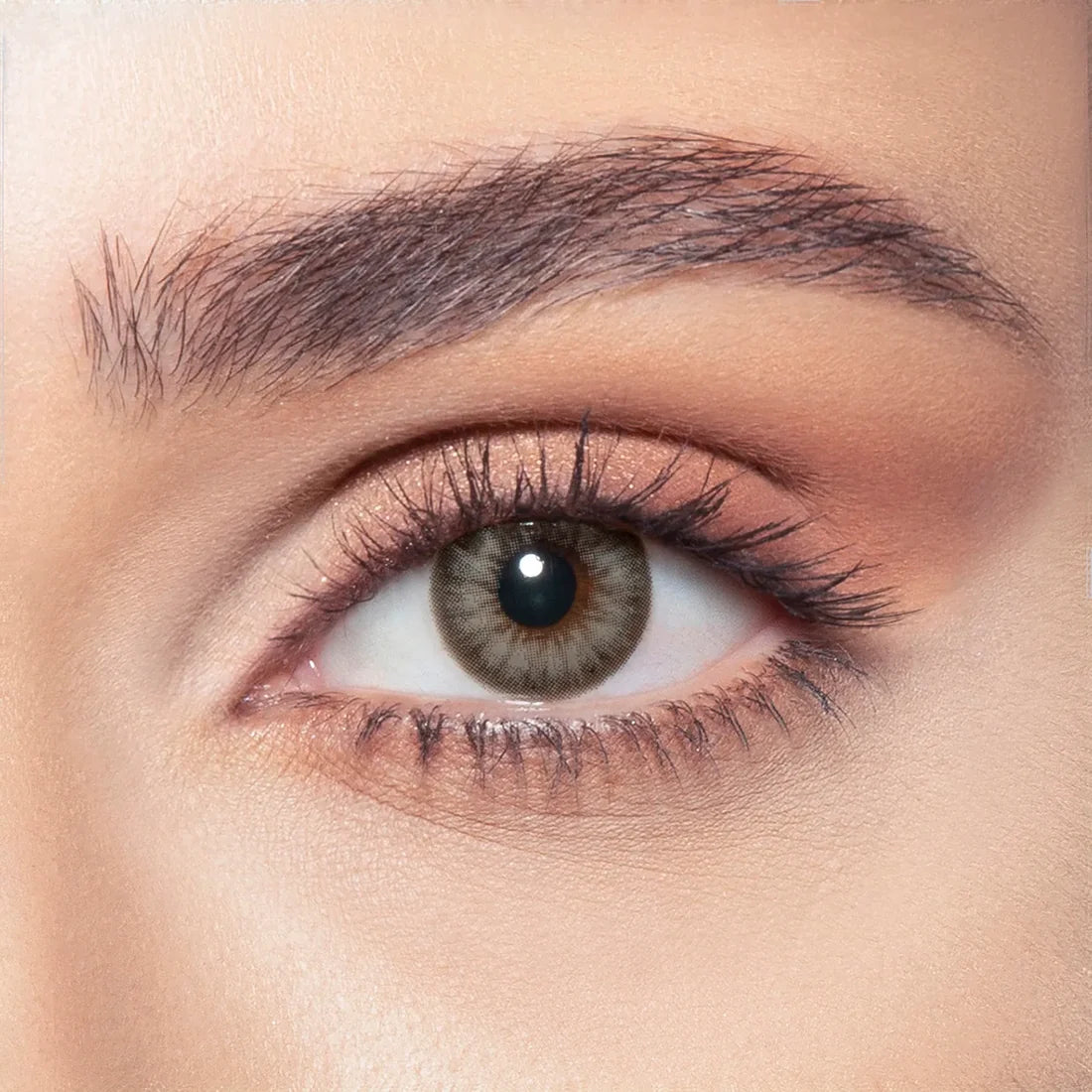 Bella Diamond - 2 lenses - Almond Gray