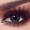 Bella One Day - Pack of 10 - Ash Brown
