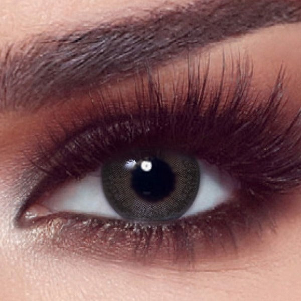Bella One Day - Pack of 10 - Ash Brown