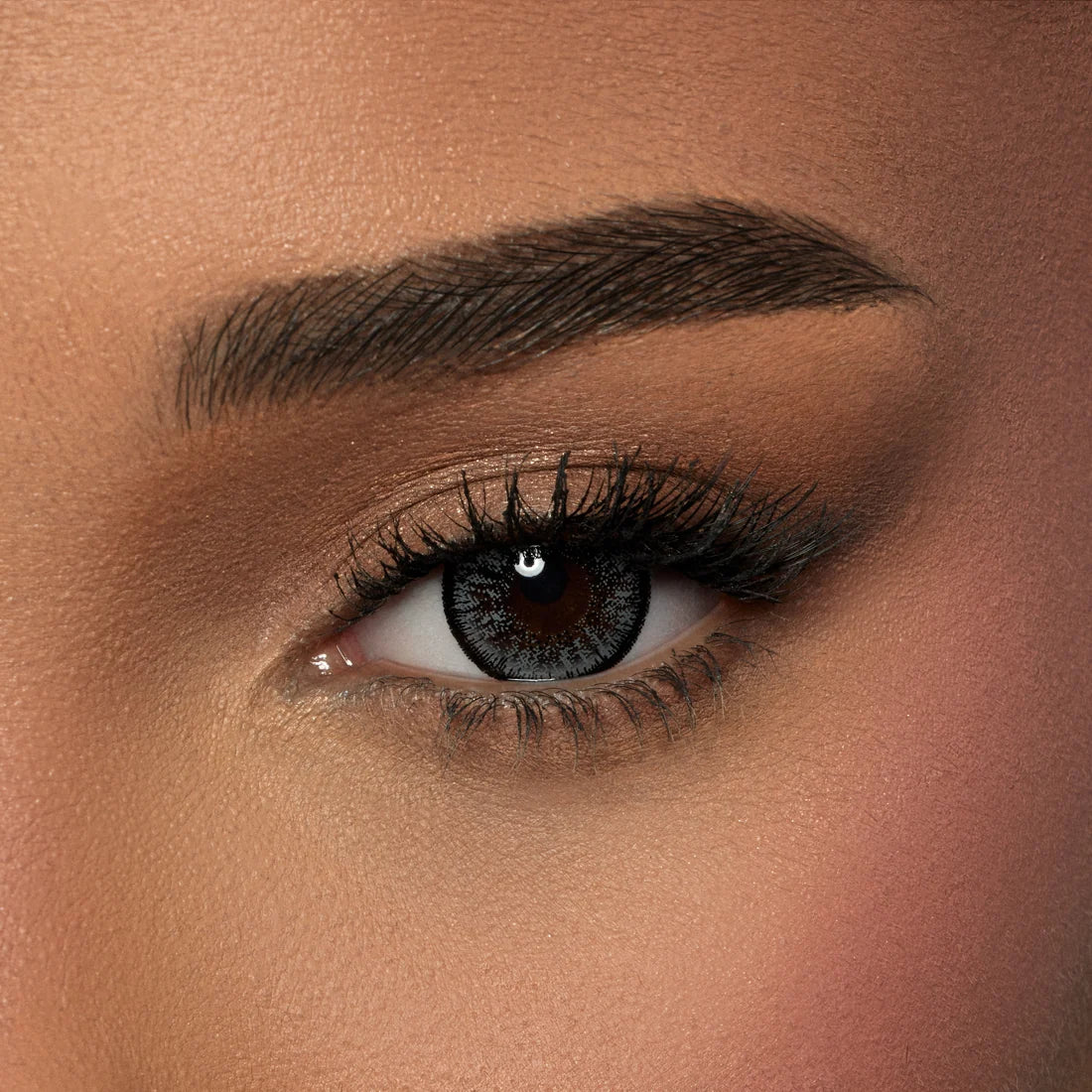 Amara Color Contact Lenses - Charcoal Gray