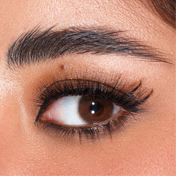 Amara Color Contact Lenses - Classic Brown