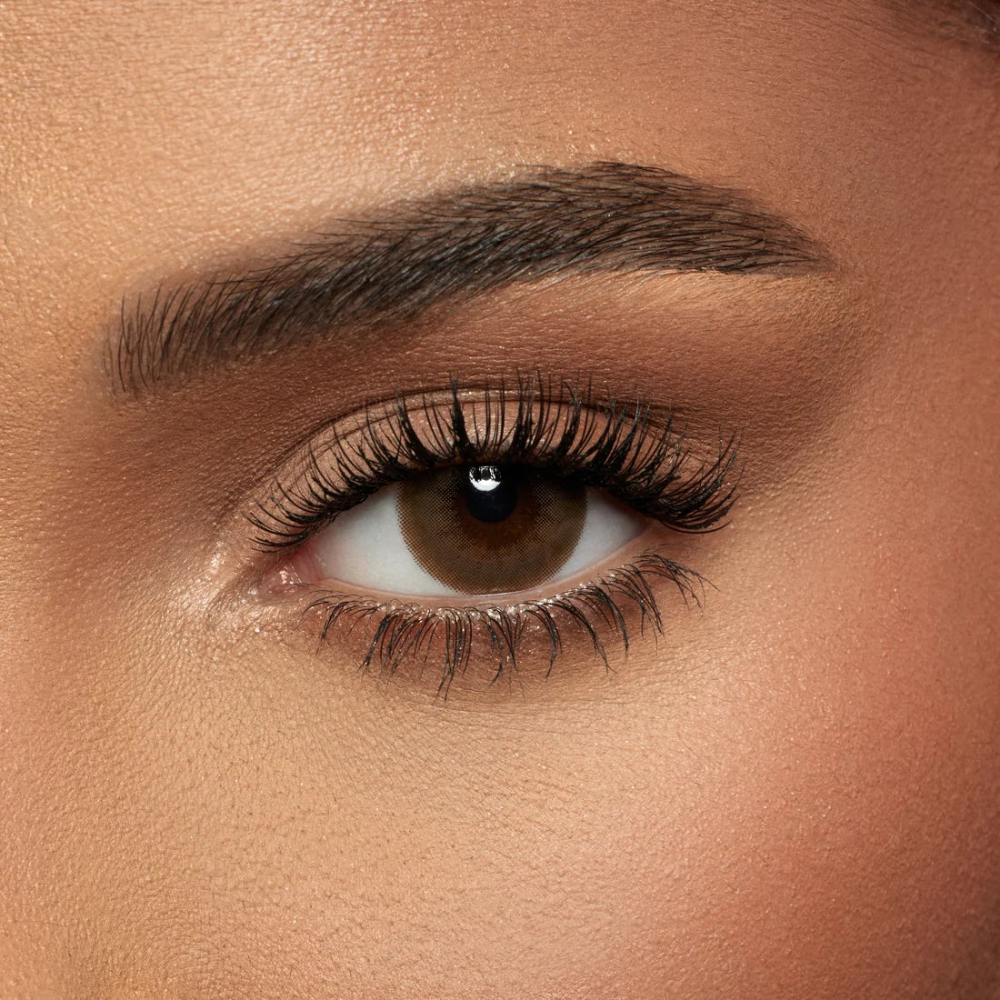 Amara Color Contact Lenses - Mocca