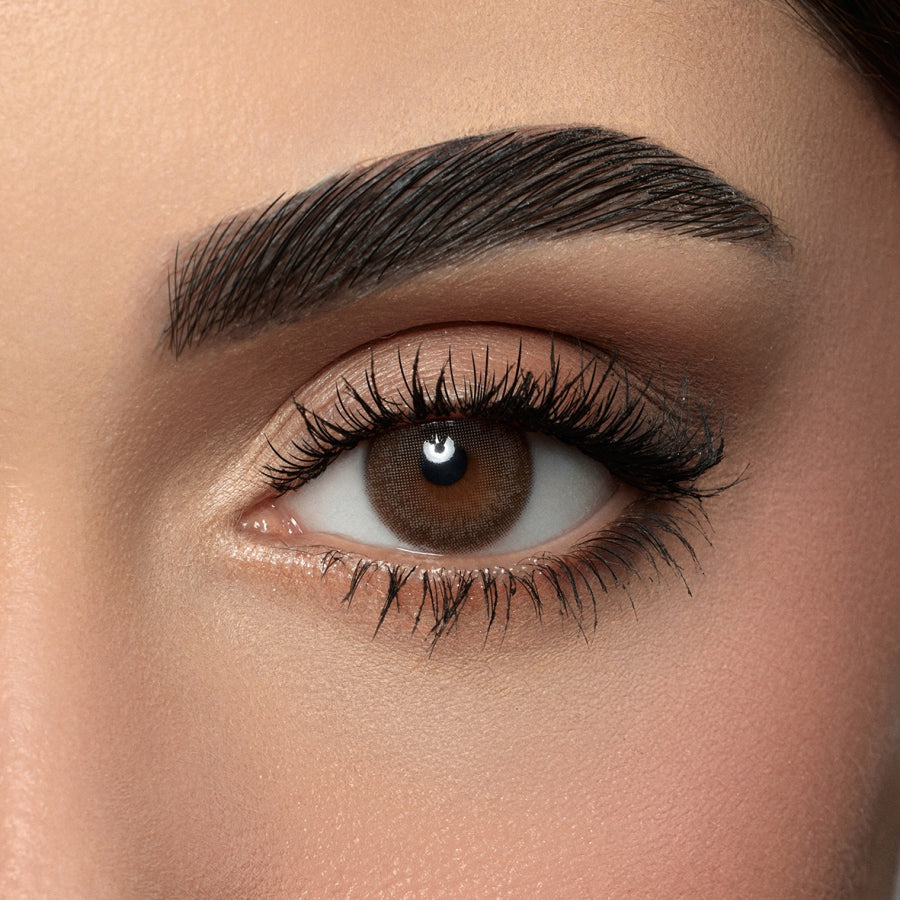 Amara Color Contact Lenses - Dark Sepia