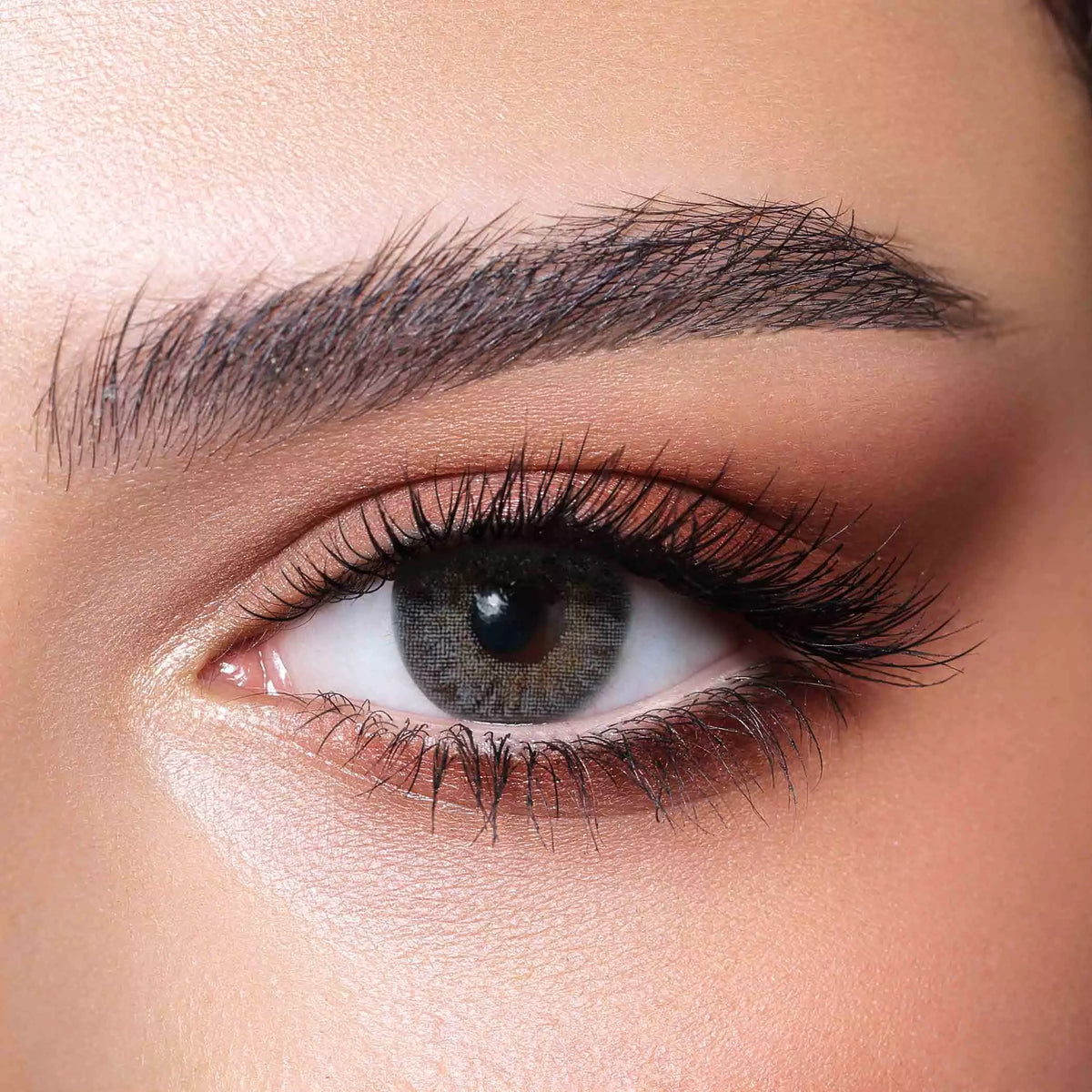 Bella Natural- 2 lenses - Gray
