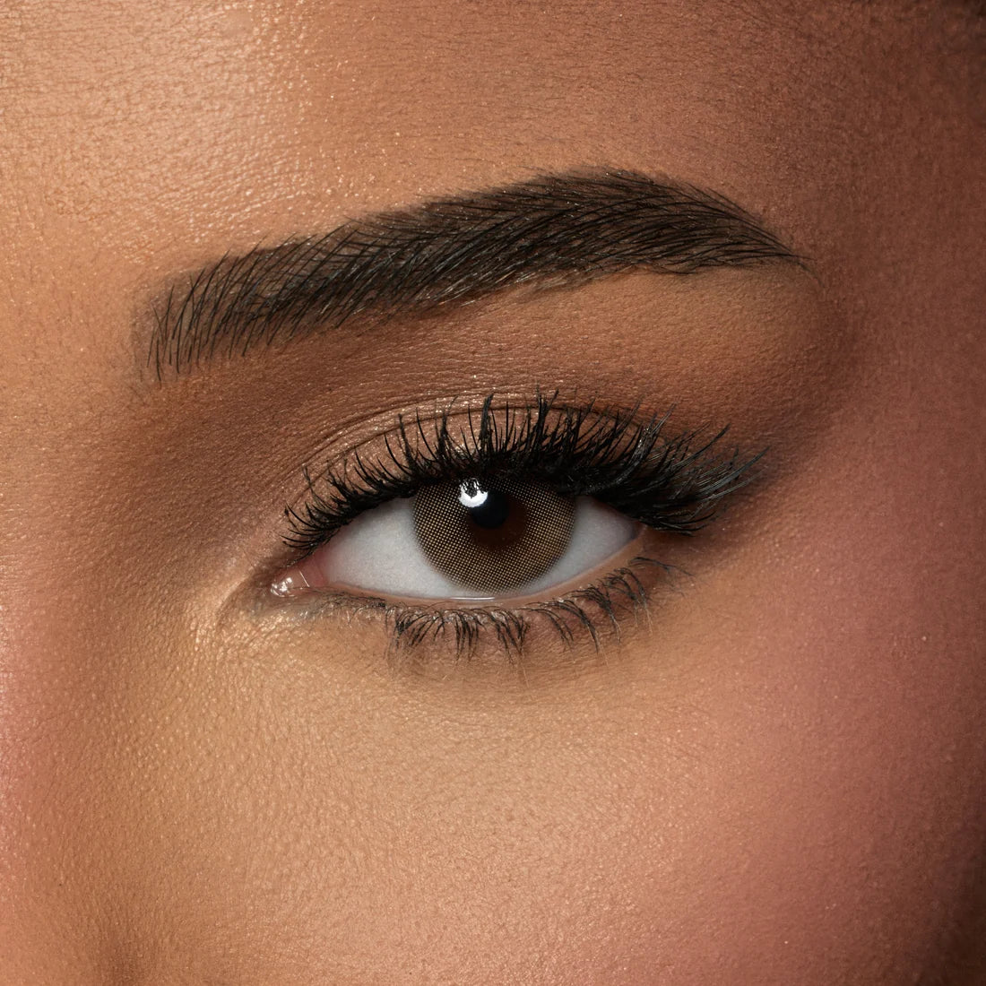 Amara Color Contact Lenses - Pure Hazel