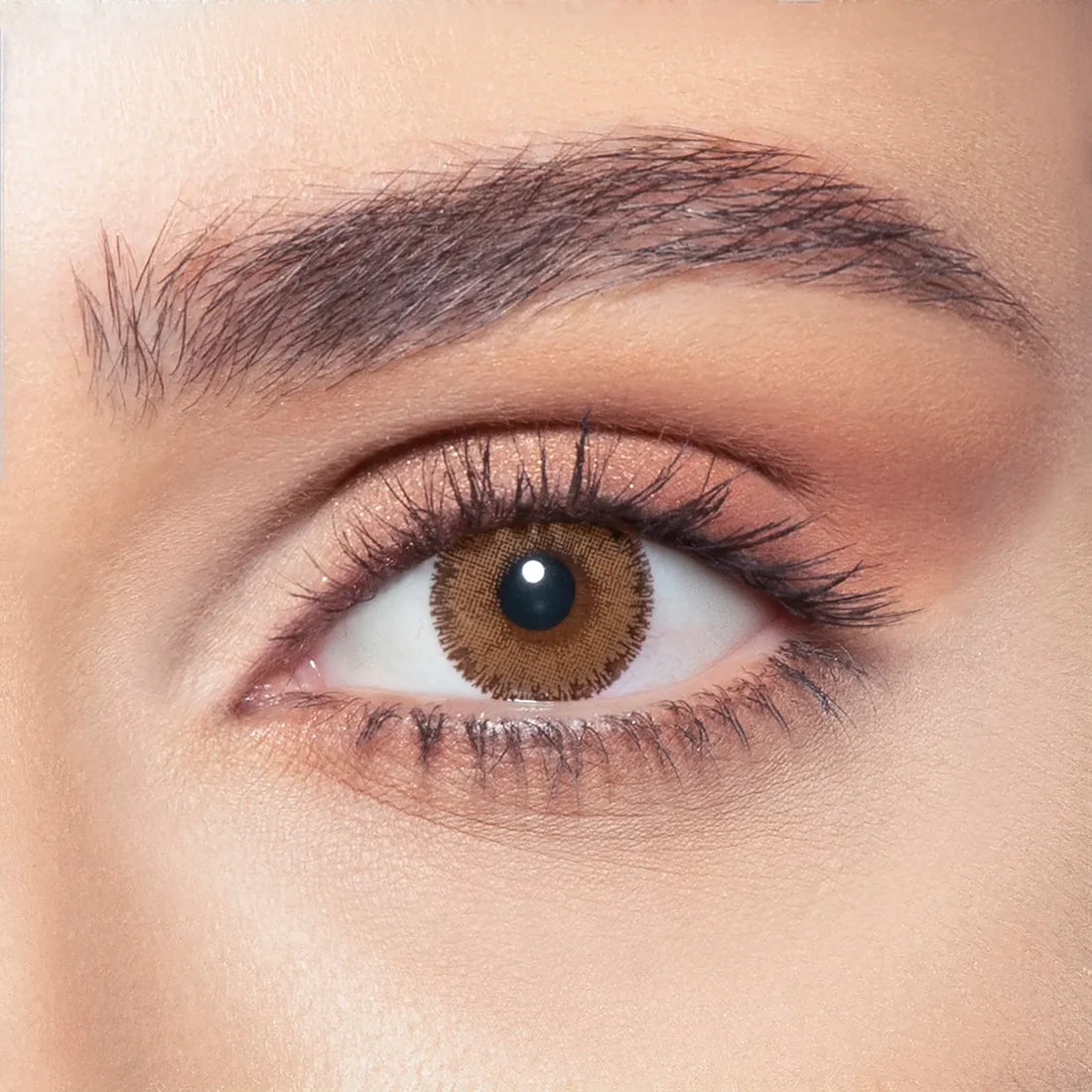 Bella Glow - 2 lenses - Radiant Brown