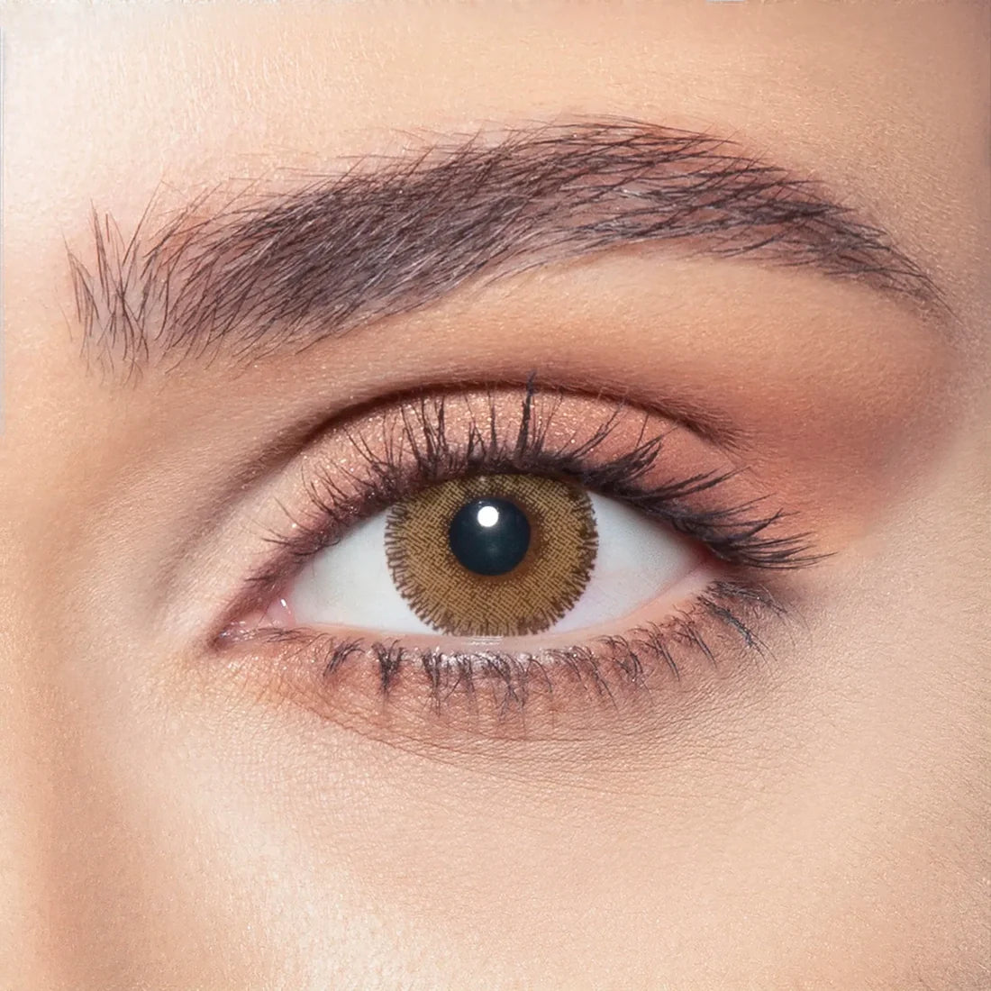 Bella Glow - 2 lenses - Radiant Hazelnut