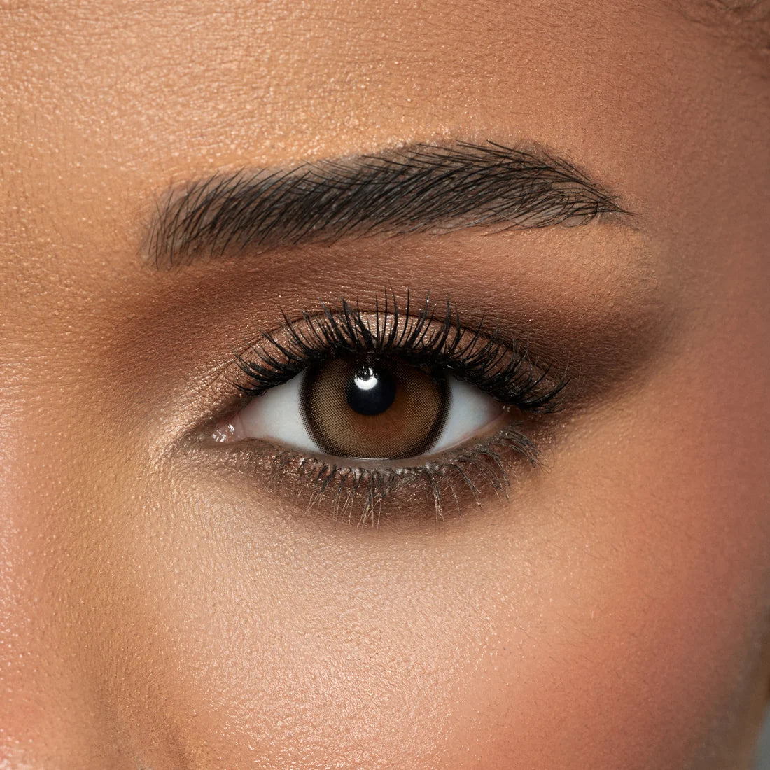 Amara Color Contact Lenses - Sahara