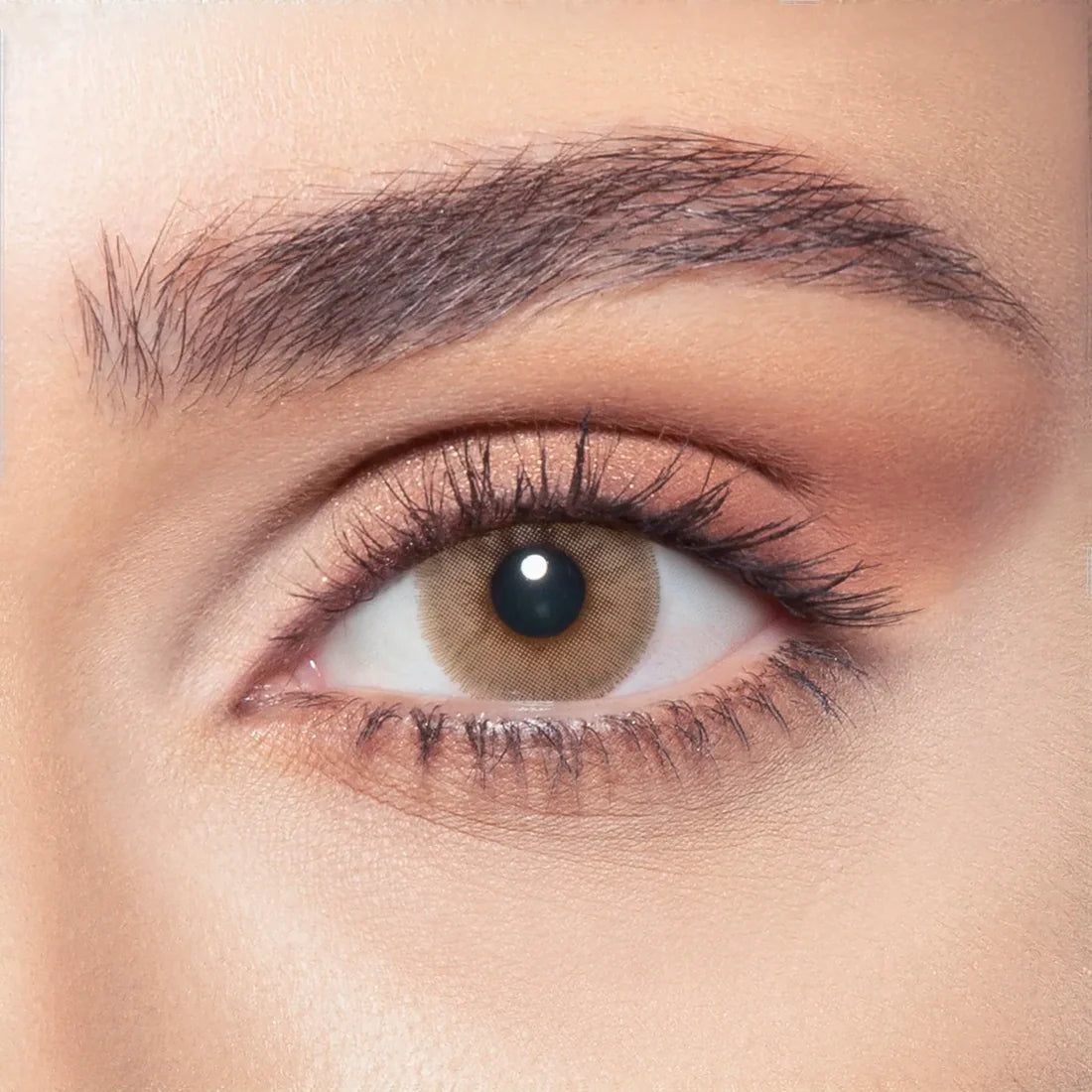 Bella Elite - 2 lenses - Sandy Brown
