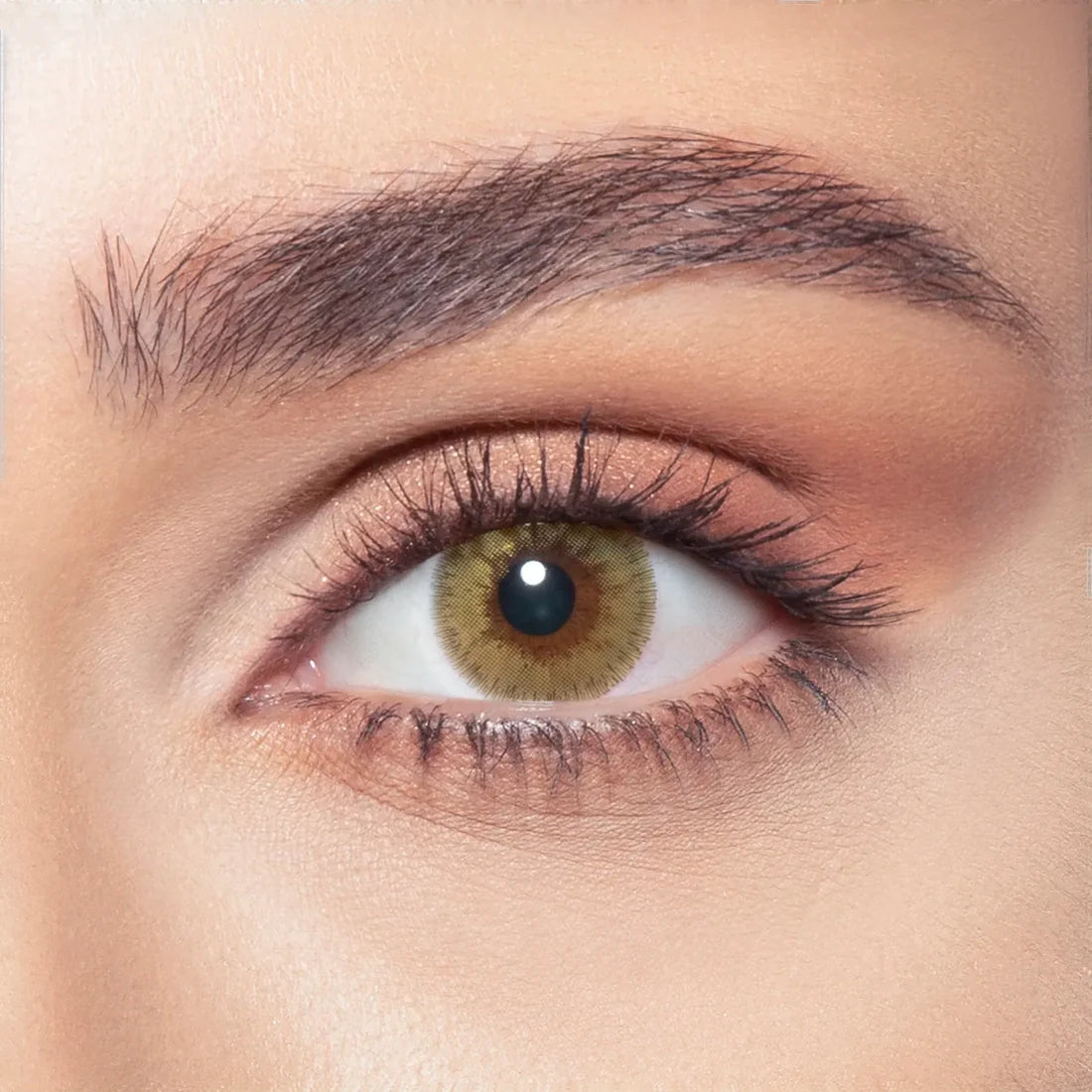 Bella Elite - 2 lenses - Silky Gold