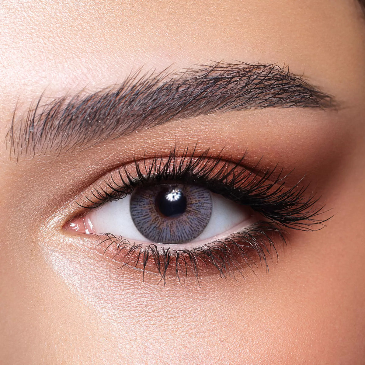 Bella Elite - 2 lenses - Silky Gray