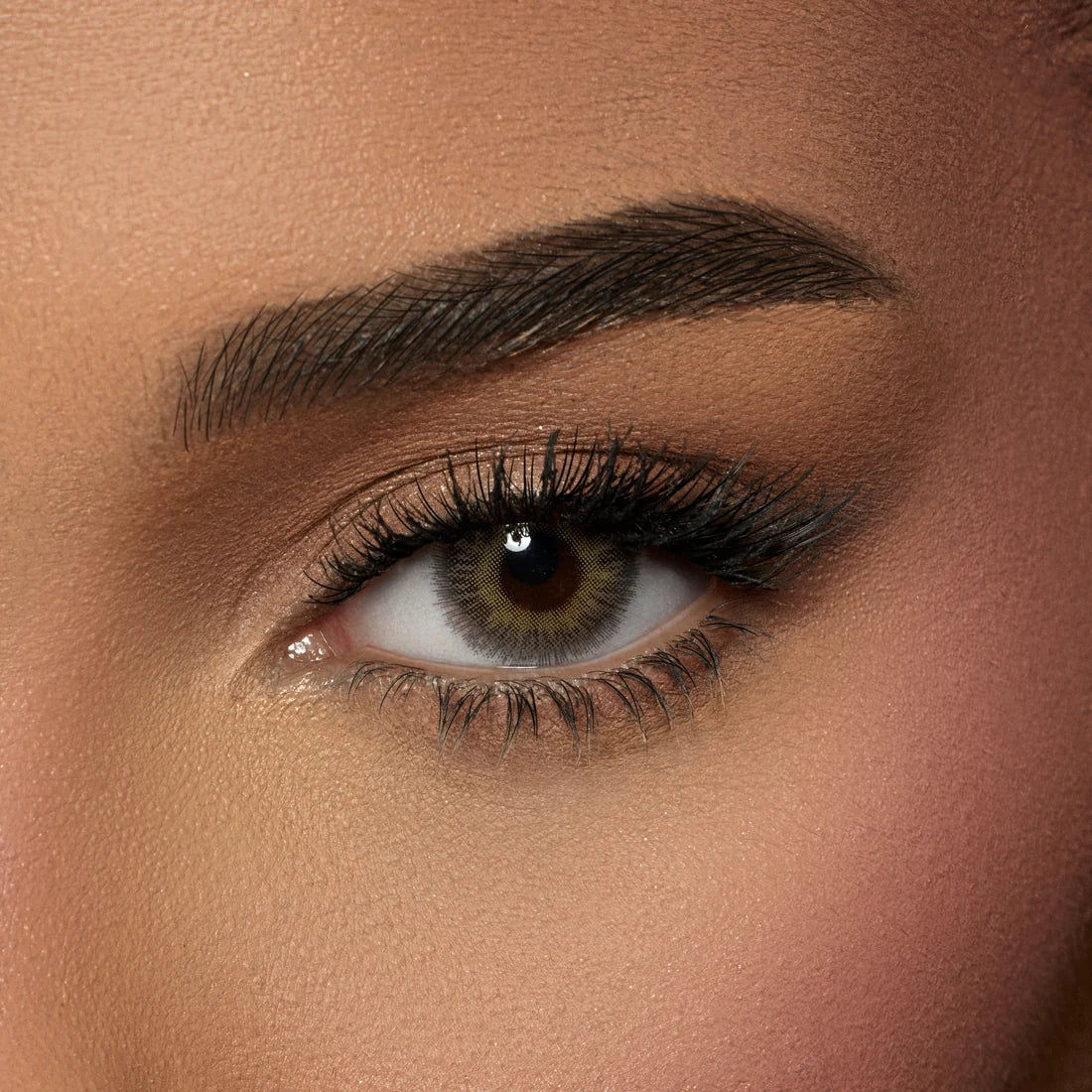 Amara Color Contact Lenses - Spanish Latte