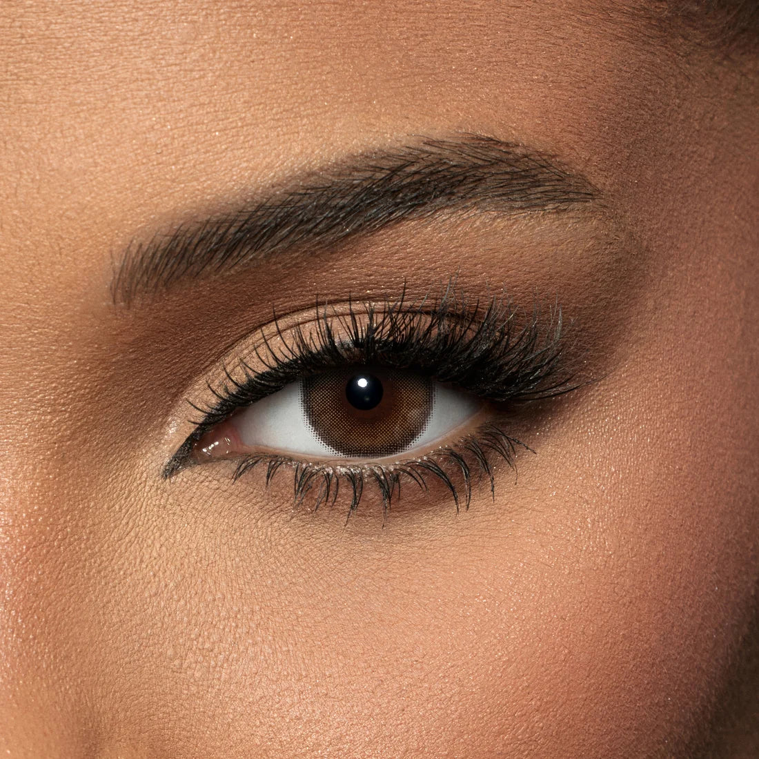 AMARA Colored Contact Lenses - Walnut