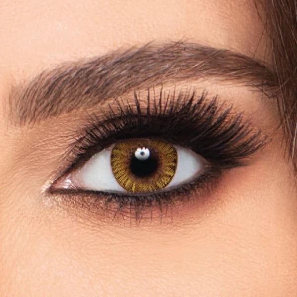 FreshLook One-Day Colorblends - Pack of 10 - Pure Hazel